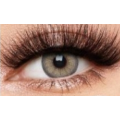 LENTILLES MARRONS BUTTER BROWN, lentilles marrons couleur beurre ref.FA44-1