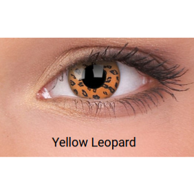 LENTILLES YELLOW LEOPARD, lentilles orange 