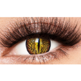 LENILLES DE DRAGON LIZARD EYE BROWN 